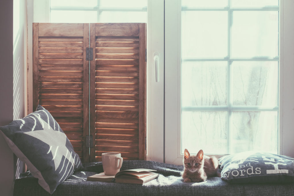 Warm,And,Cozy,Window,Seat,With,Cushions,And,A,Opened